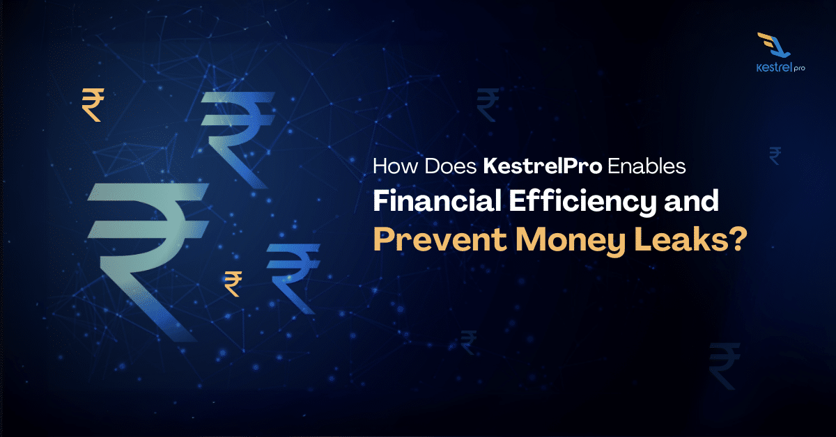 Seal the Money Leaks: Optimizing Financial Efficiency with KestrelPro